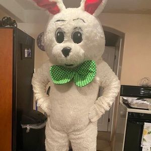Adult costume for Easter in great condition